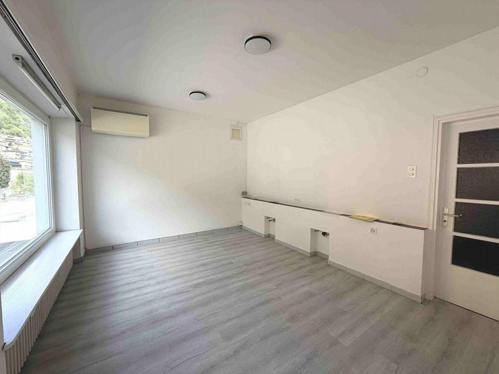 Ufficio & Commercio di 1 locali in affitto a Monte Carasso - immagine 1/9