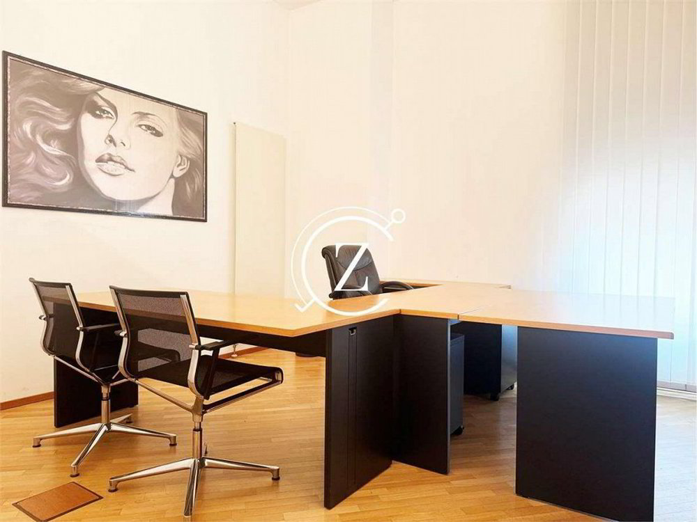Ufficio & Commercio di null locali in affitto a Lugano - immagine 1/1