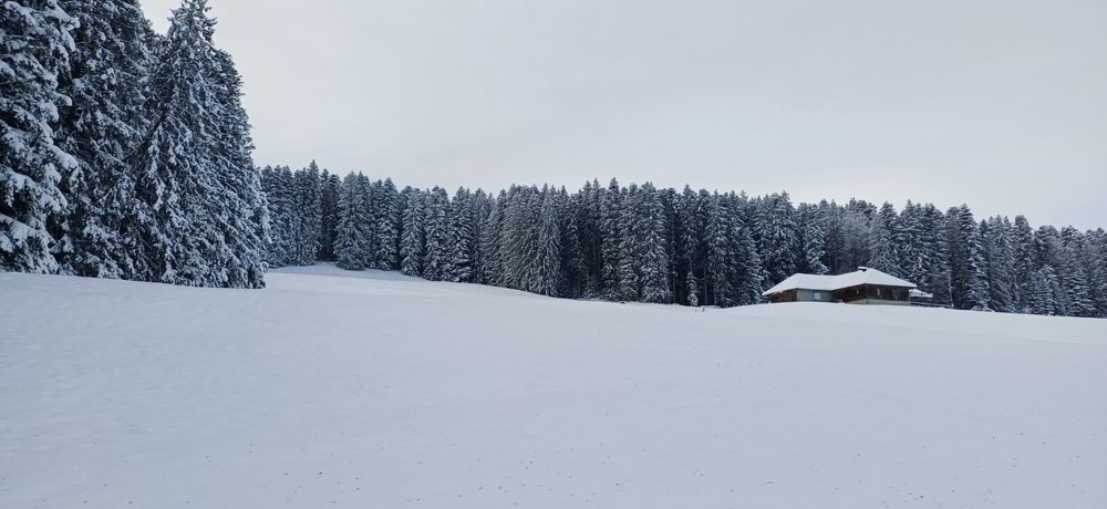 5 Zimmer Haus zum verkaufen in Montpreveyres - Bild 1/9