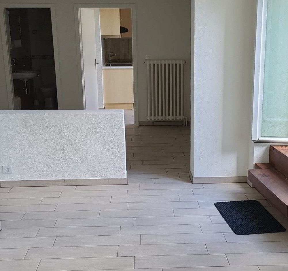 1 Zimmer Wohnung zum verkaufen in Burtigny - Bild 1/6