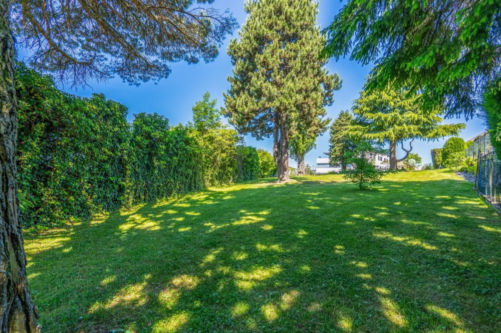 Terreno di null locali in vendita a Le Mont-sur-Lausanne - immagine 1/2