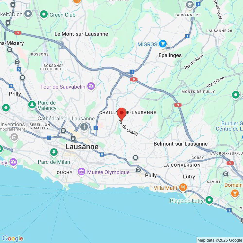 Appartamento di 3 locali in affitto a Lausanne - immagine 1/8