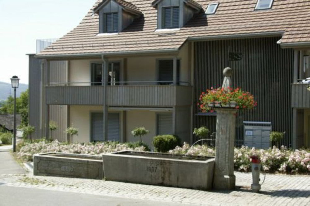 2 rooms Apartment for rent in Oetwil an der Limmat - image 1/5