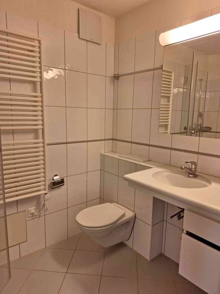 Appartamento di 3 locali in affitto a Uitikon Waldegg - immagine 1/13