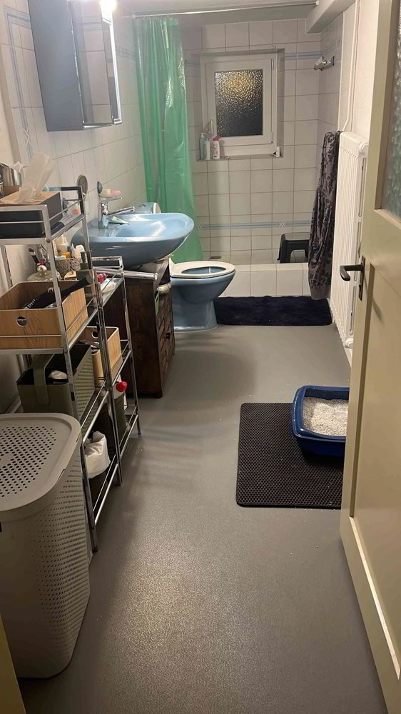 2.5 rooms Apartment for rent in Oberrieden - image 1/7