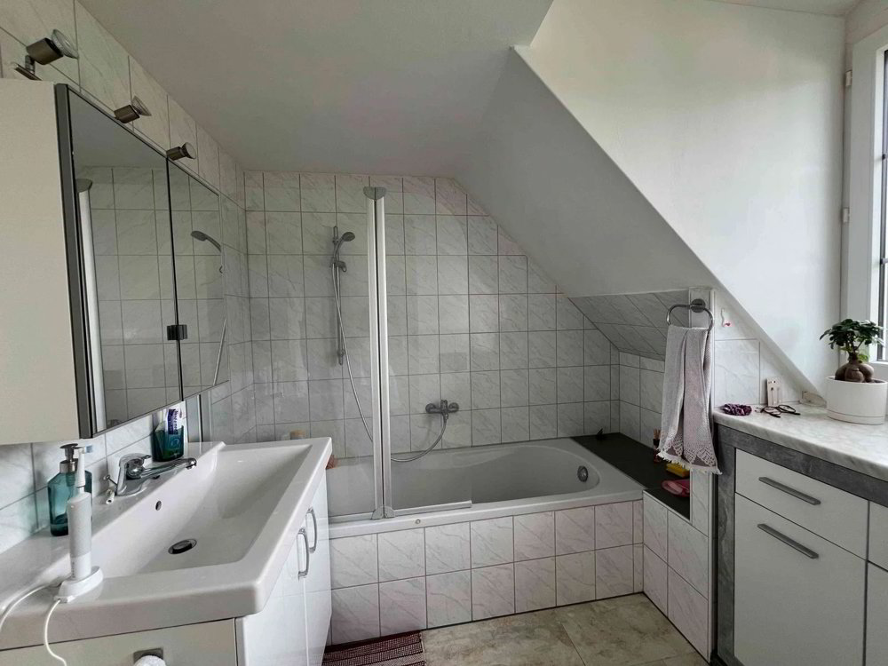 Appartement 3 pièces à louer à Tegerfelden - image 1/11