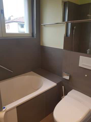 Appartement 2.5 pièces à louer à Biel/Bienne - image 1/13