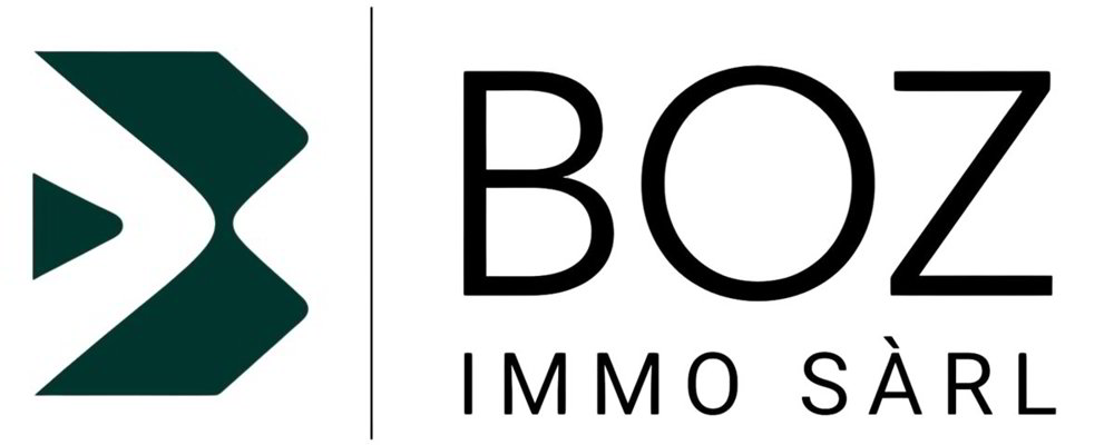 Appartamento di 2 locali in affitto a Bienne - immagine 1/11
