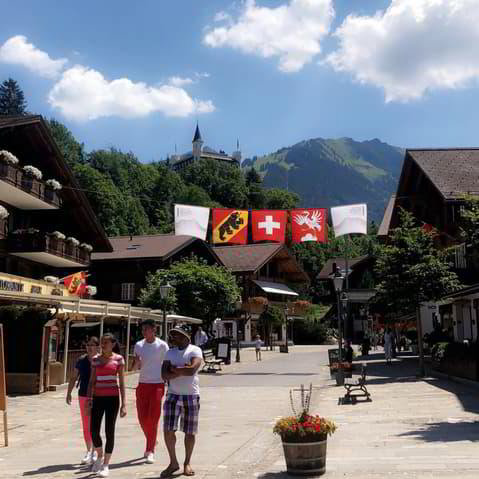null rooms Office & Commercial for rent in Gstaad - image 1/2