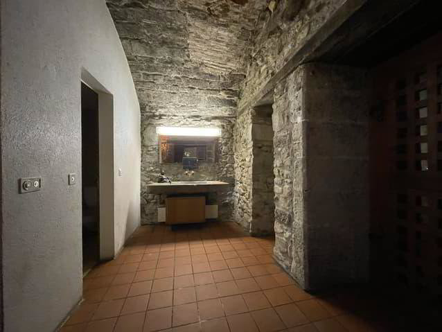 Ufficio & Commercio di null locali in affitto a Fribourg - immagine 1/5