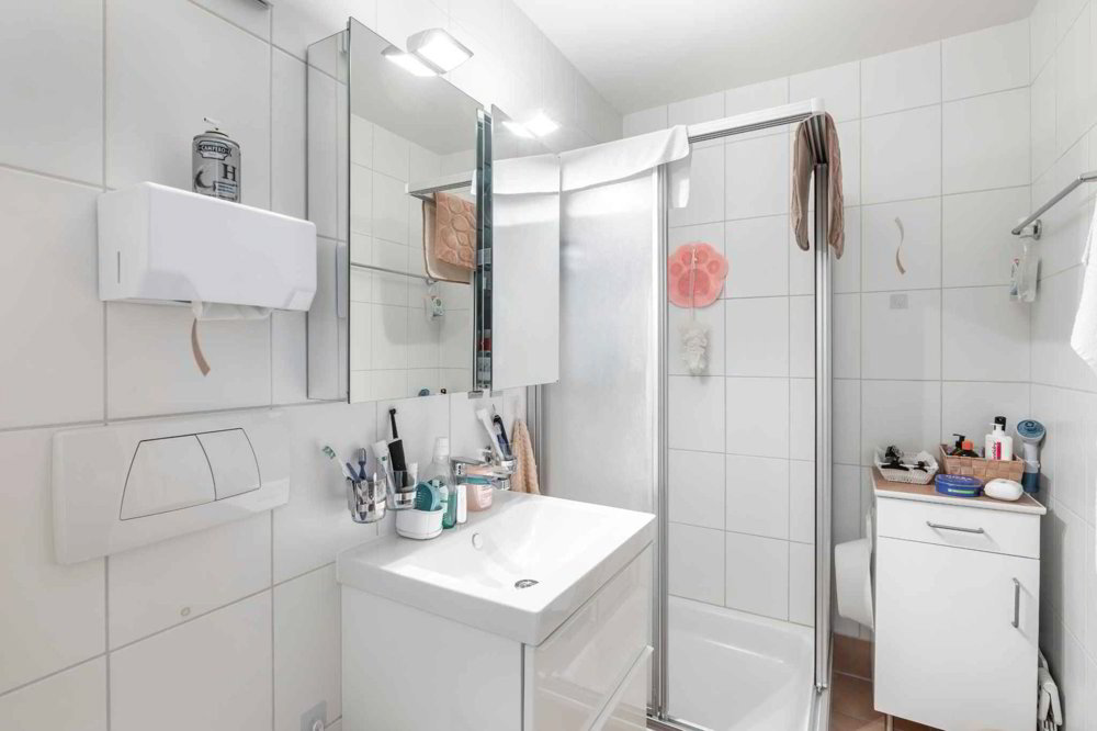 4 Zimmer Wohnung zum verkaufen in Blonay - Bild 1/13