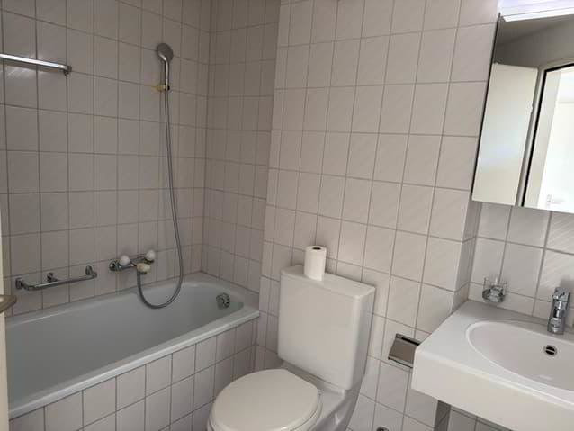 Appartamento di 4.5 locali in affitto a Bienne - immagine 1/13