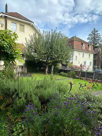 Appartamento di 3 locali in affitto a Lengnau BE - immagine 1/7