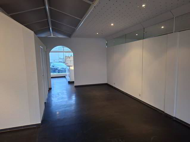 Bureau & Commerce 3 pièces à louer à Bienne - image 1/13