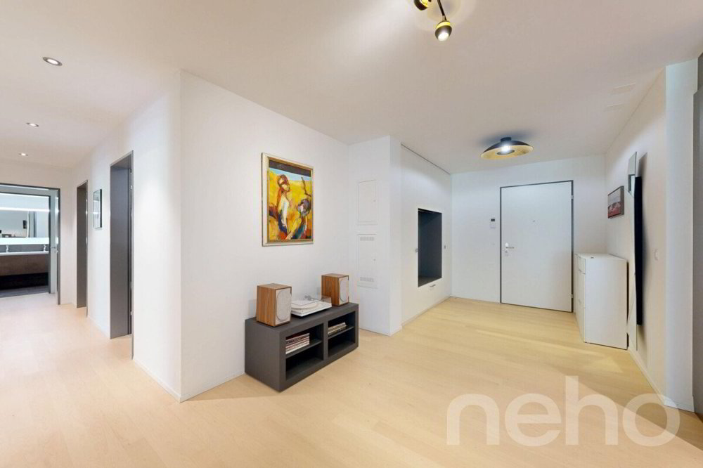 Appartement 4.5 pièces à acheter à Kollbrunn - image 1/12