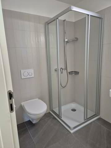 Appartamento di 4 locali in affitto a Renens VD - immagine 1/13