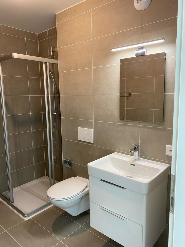 Appartamento di 1 locali in affitto a Chavannes-près-Renens - immagine 1/7