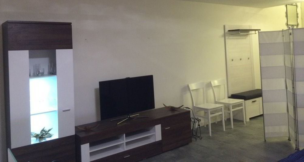 1 rooms Apartment for rent in Birmensdorf ZH - image 1/12