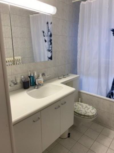 Appartamento di 3 locali in affitto a Zurich - immagine 1/4