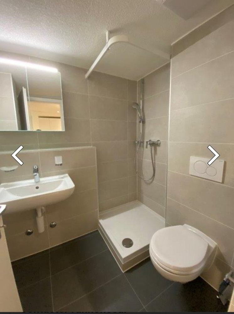 1 rooms Apartment for rent in Seewen SZ - image 1/5