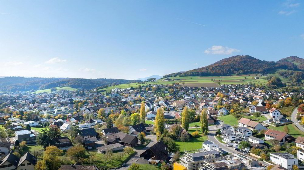 5.5 rooms House to buy in Erlinsbach - image 1/11