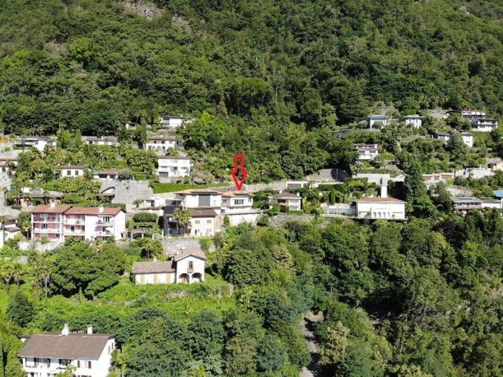 4.5 rooms Apartment to buy in Ronco sopra Ascona - image 1/14
