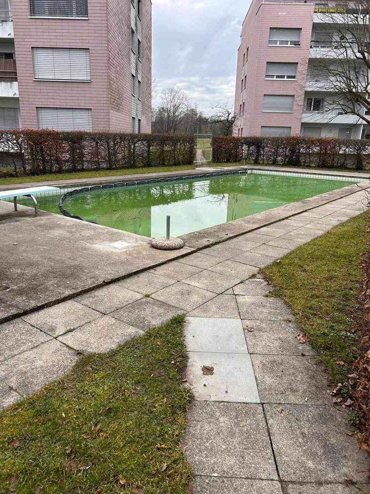 Appartement 8.5 pièces à acheter à Obergösgen - image 1/12