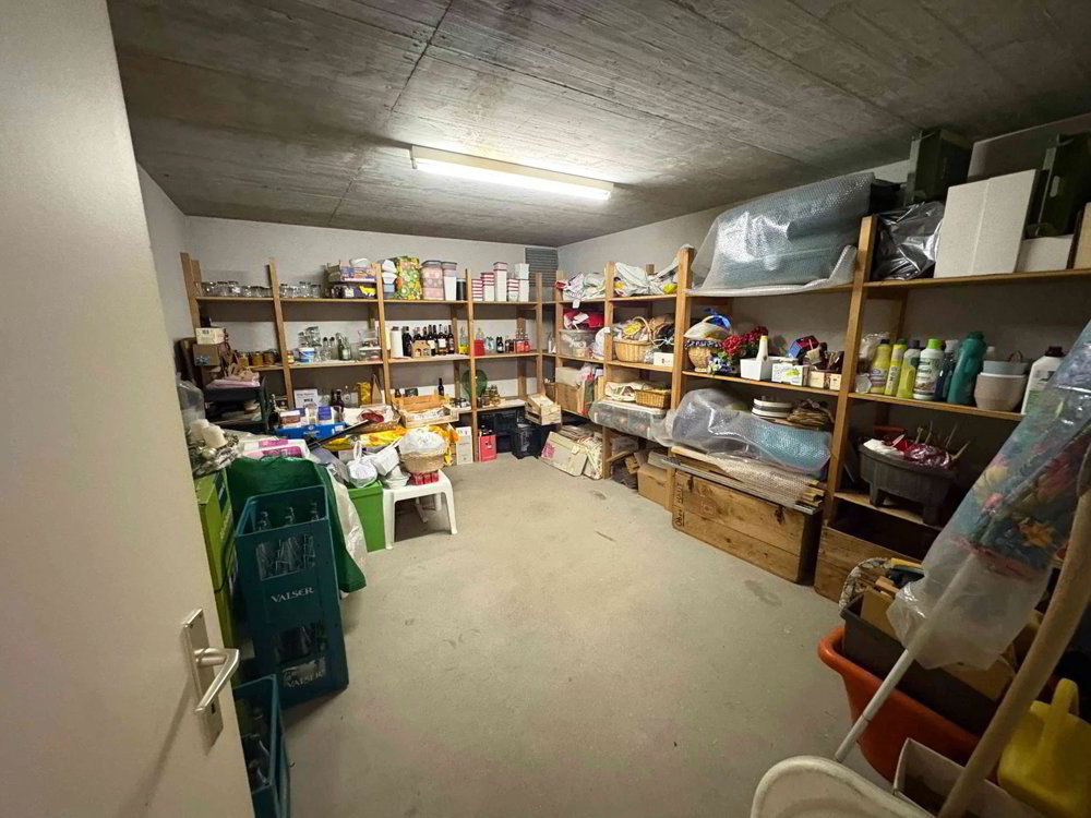 5.5 rooms House to buy in Cadempino - image 1/12