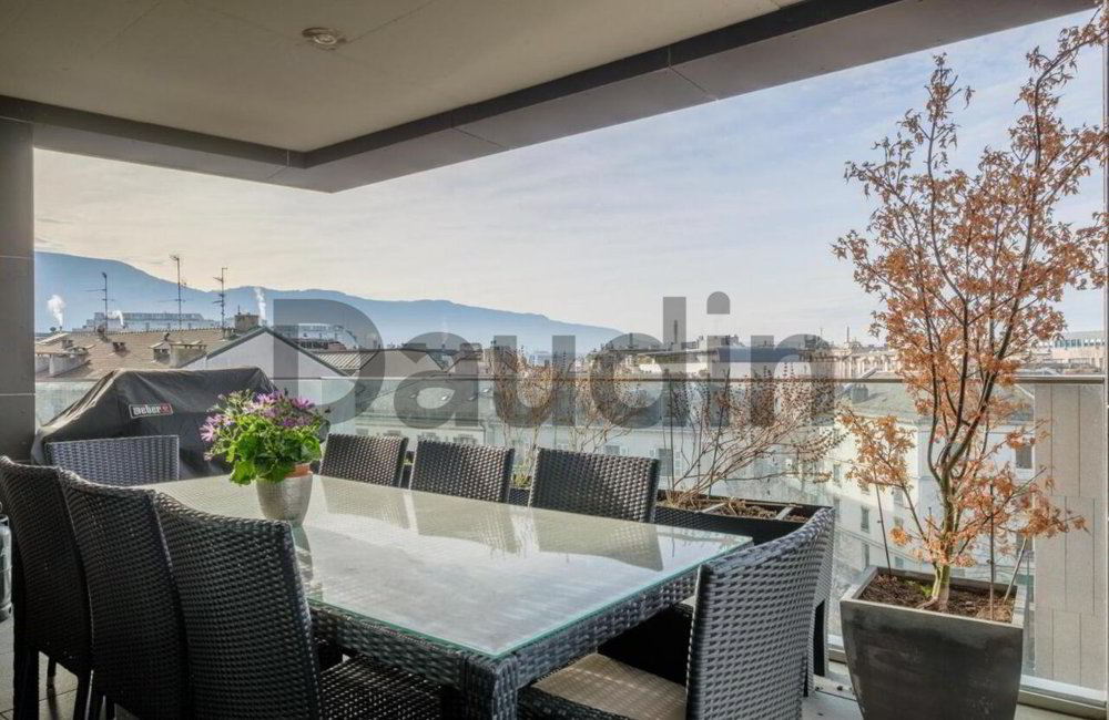 7 Zimmer Wohnung zum verkaufen in Carouge GE - Bild 1/9