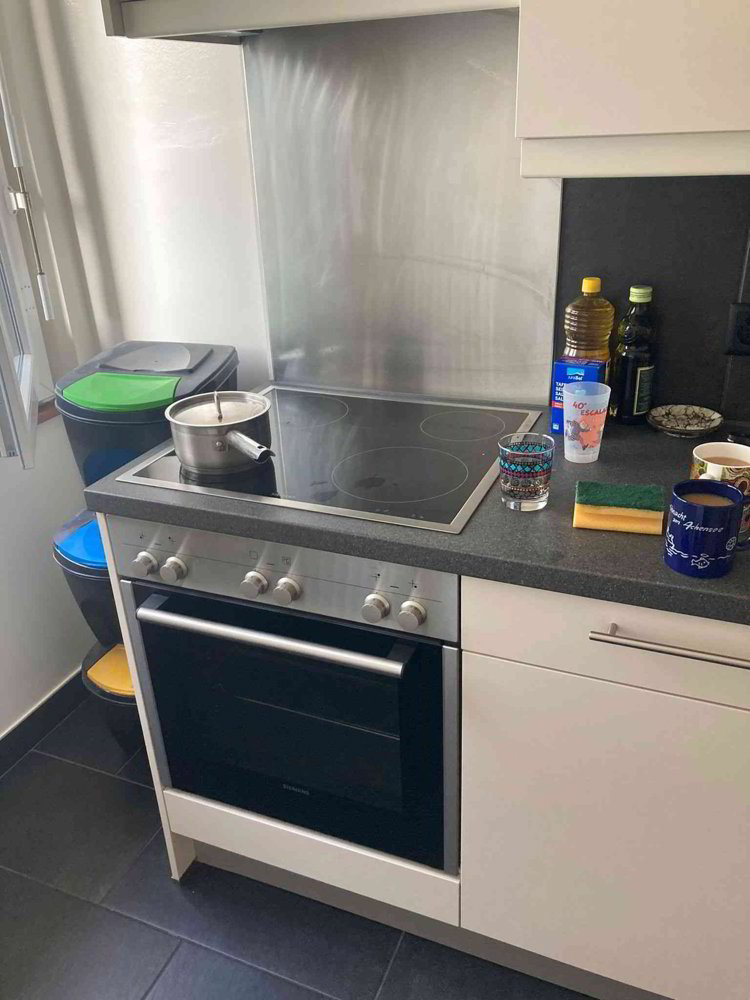 Appartamento di 3 locali in affitto a Carouge GE - immagine 1/6