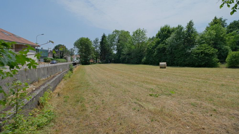1'691 m² Landparzelle in Langendorf - Ansicht 5