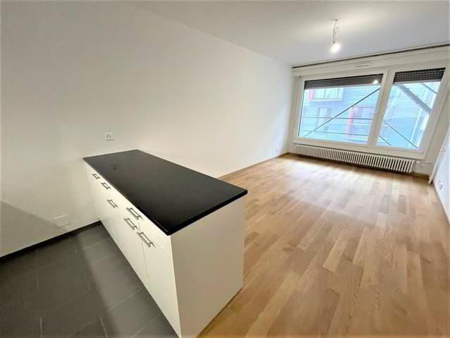 2 Zimmer Wohnung zu vermieten in Genf - Bild 1/7