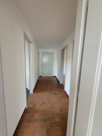 Appartamento di 3 locali in affitto a Brügg BE - immagine 1/8