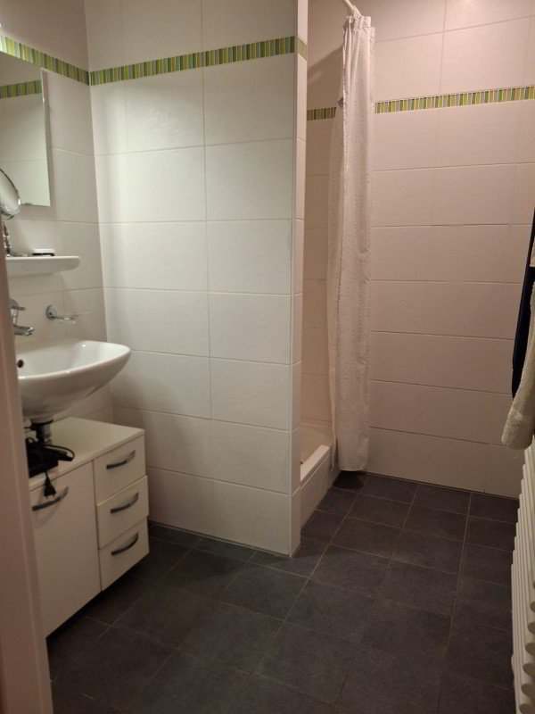Appartement 5 pièces à louer à Genf - image 1/10