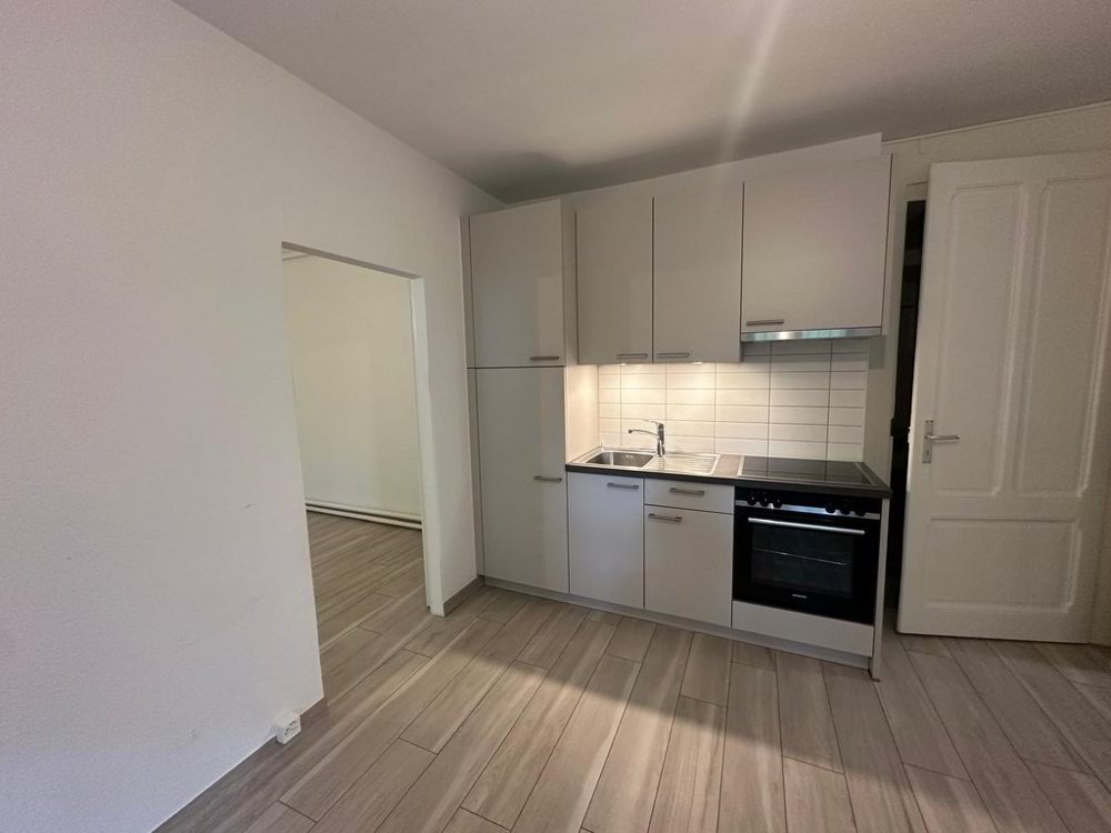 Appartamento di 2 locali in affitto a Ginevra - immagine 1/5