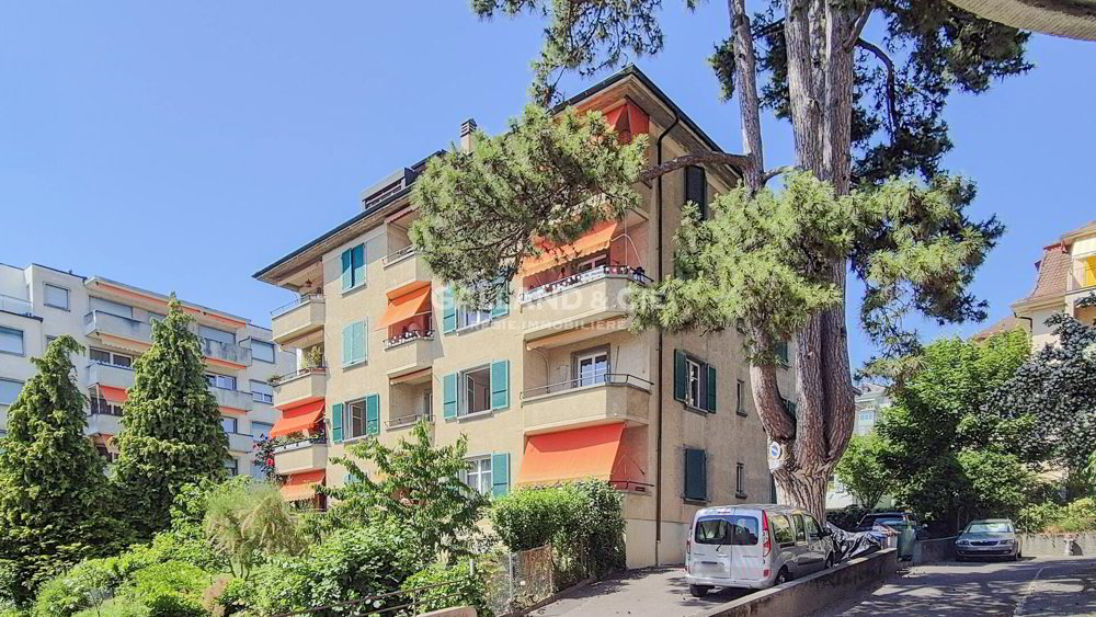 2.5 Zimmer Wohnung zu vermieten in Lausanne - Bild 1/1