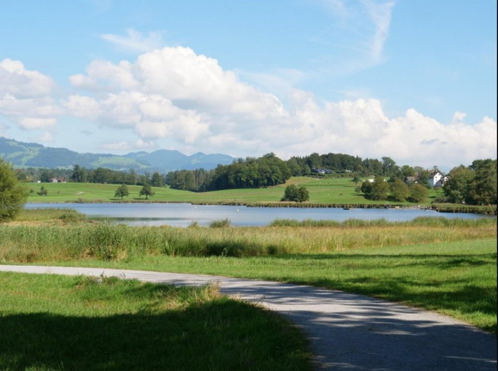 6.5 rooms Miscellaneous for rent in Hombrechtikon - image 1/8