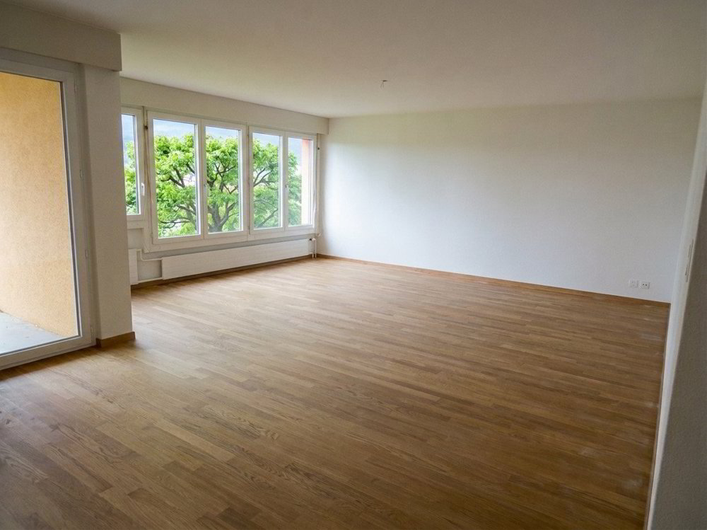 Appartamento di 4.5 locali in affitto a Schaffhausen - immagine 1/6