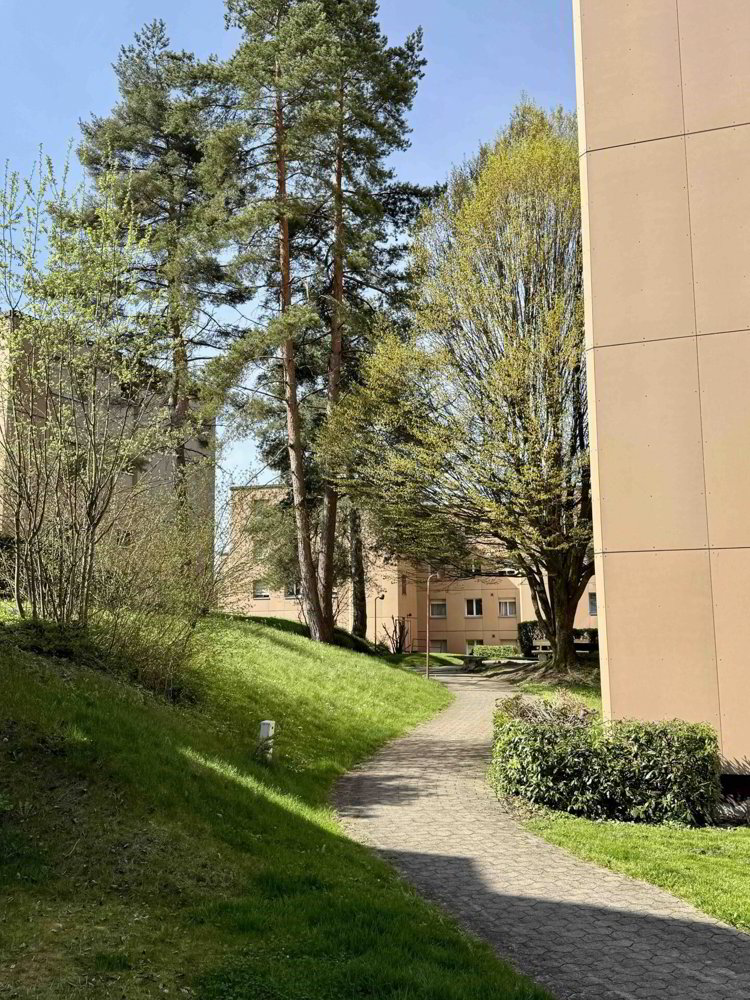 Appartamento di 3.5 locali in affitto a St. Gallen - immagine 1/11