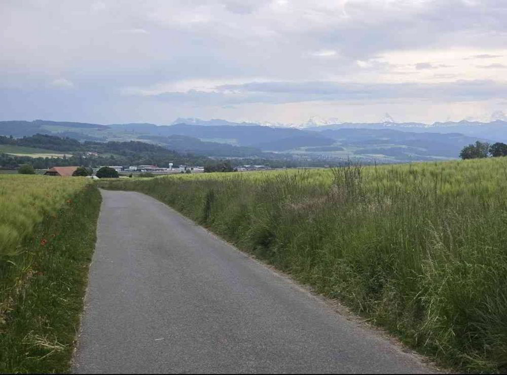2.5 rooms Apartment for rent in Kehrsatz - image 1/13