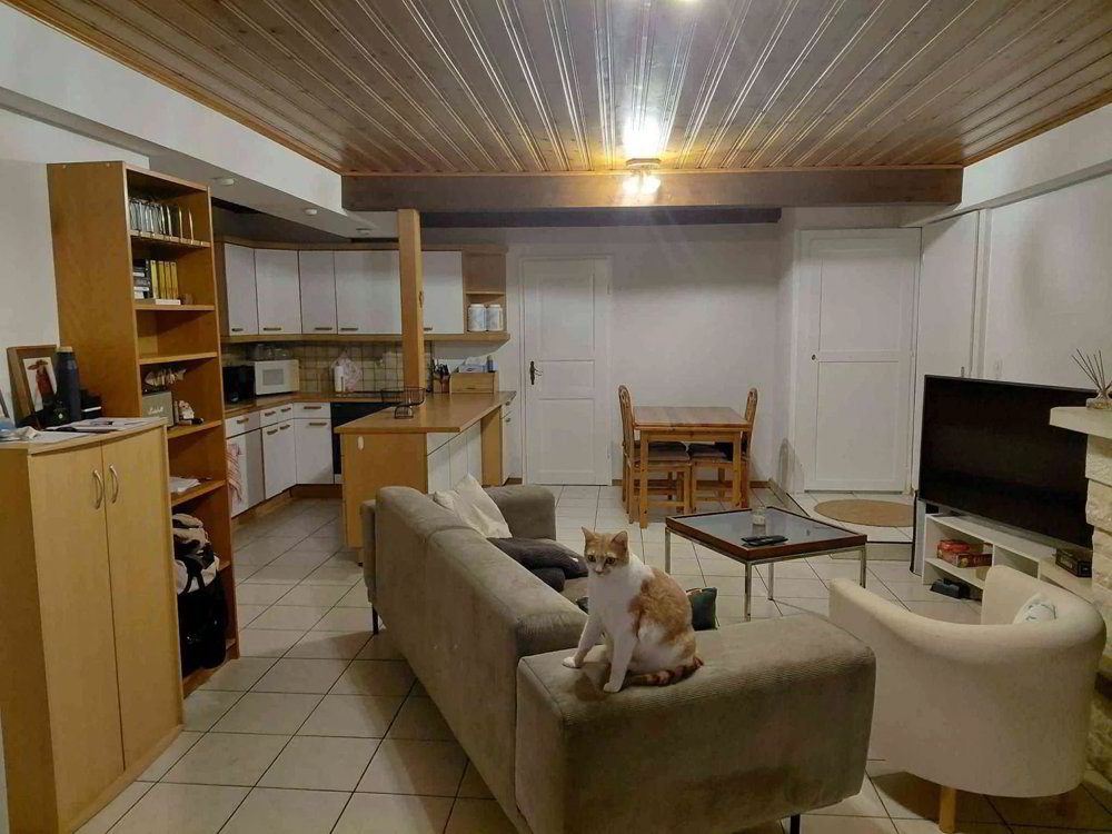 Appartamento di 2.5 locali in affitto a Lausanne - immagine 1/4
