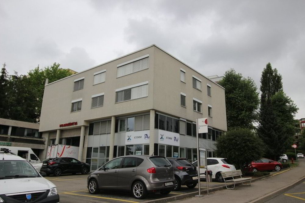 Appartamento di 2 locali in affitto a Friburgo - immagine 1/6