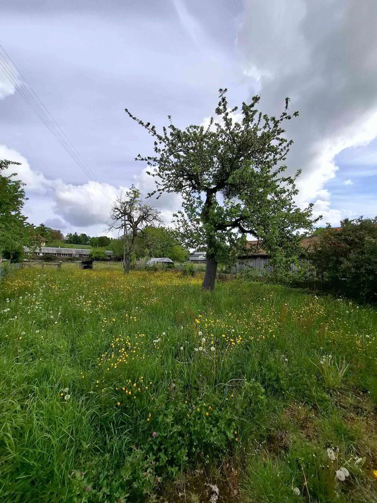 Maison 6.5 pièces à acheter à Pleigne - image 1/11