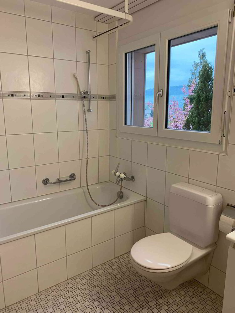 2.5 rooms Apartment for rent in Boniswil - image 1/10