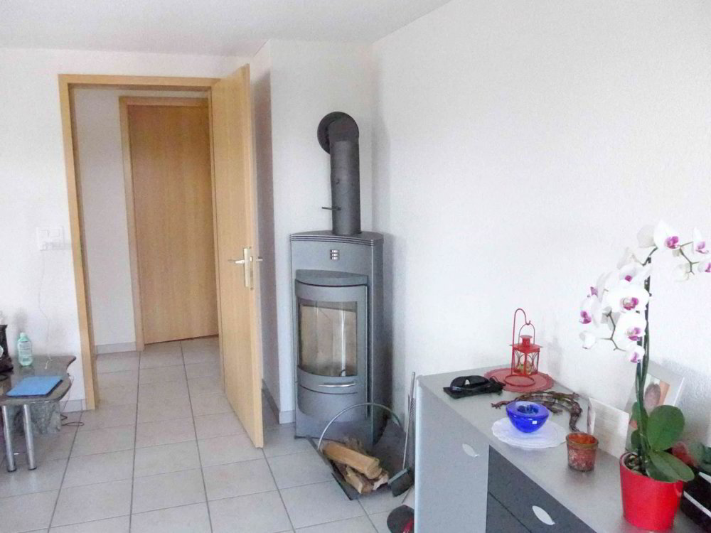 Appartamento di 4.5 locali in affitto a Zetzwil - immagine 1/13