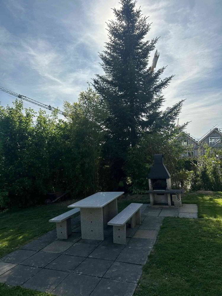 Appartement 3.5 pièces à louer à Niederlenz - image 1/9