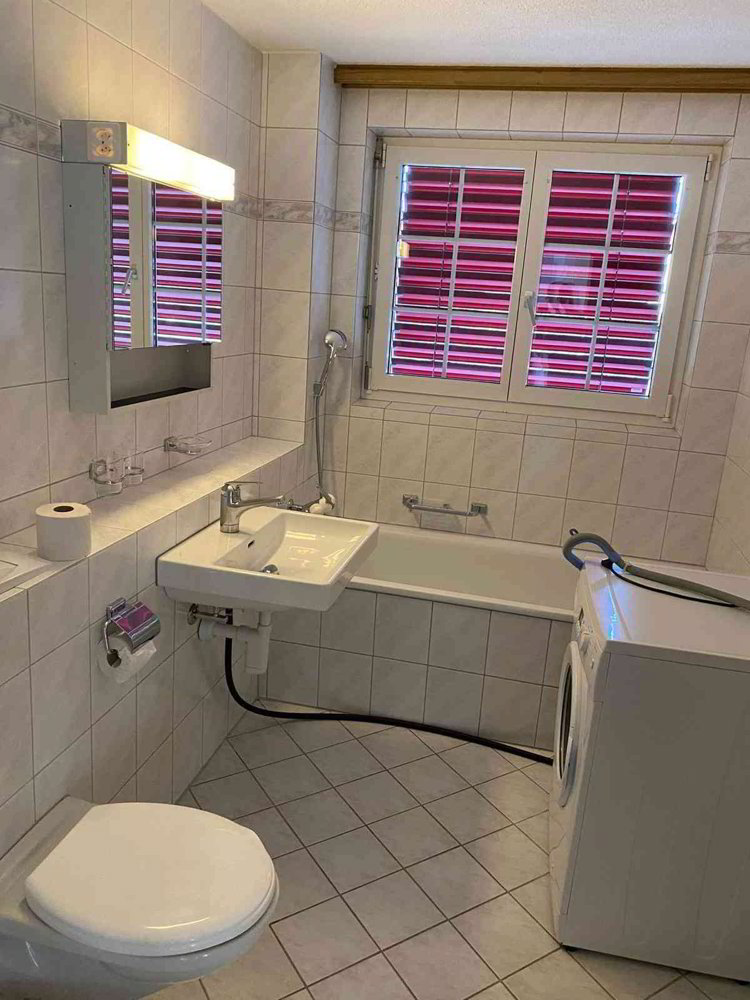 Appartement 3.5 pièces à louer à Hugelshofen - image 1/5