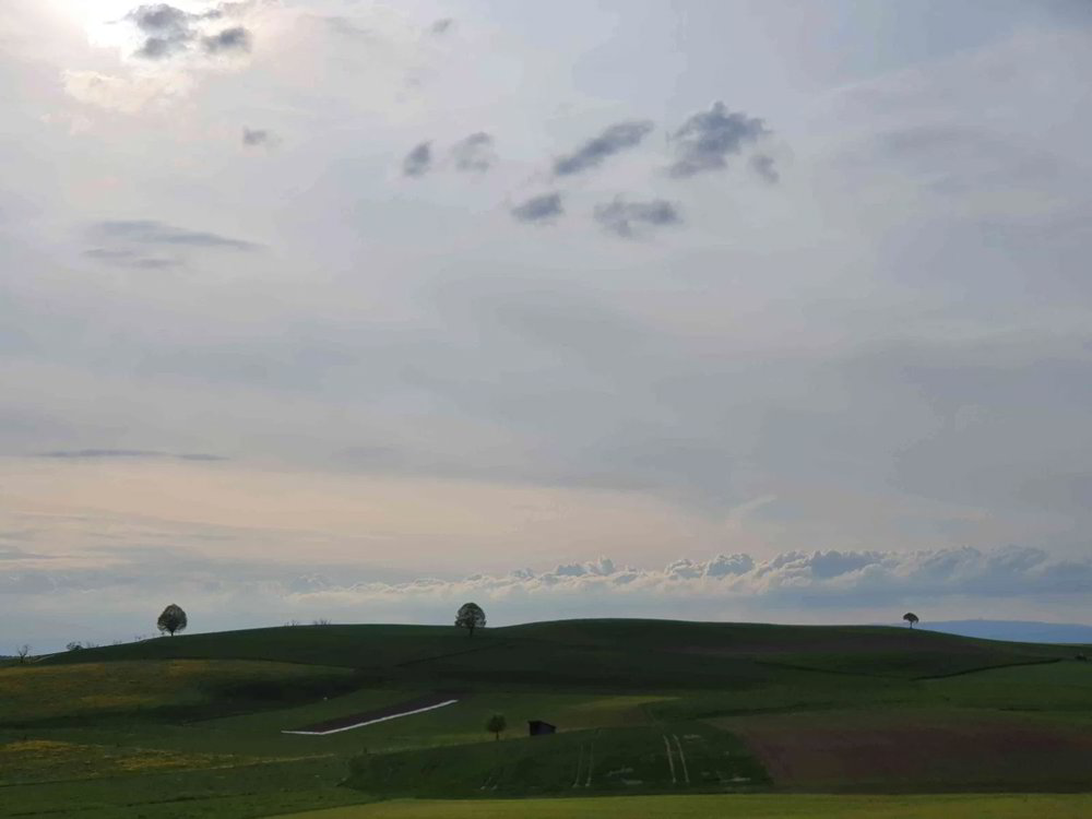 Appartamento di 1 locali in affitto a Worb - immagine 1/10