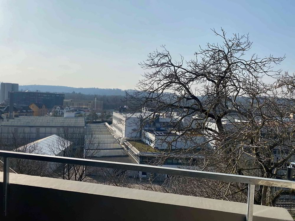 3.5 Zimmer Wohnung zu vermieten in Münchenstein - Bild 1/9