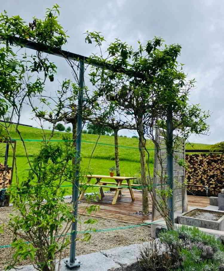 Appartamento di 2.5 locali in affitto a Jonschwil - immagine 1/13